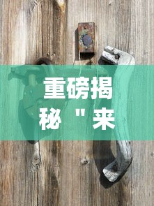 重磅揭秘 ＂来来新民麻将开挂？_游戏_玩家_工具