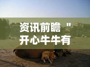 今日最新资讯 ＂微乐麻将自建房老是输怎么办	”分享辅助外挂教程