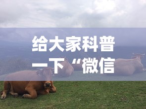 给大家科普一下“微信六人牛牛房有挂吗(确实真的有挂)-知乎