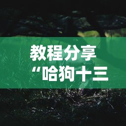 教程分享“哈狗十三道有没有挂”其实确实有挂