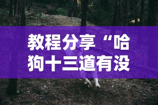 教程分享“哈狗十三道有没有挂”其实确实有挂