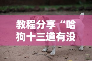 教程分享“哈狗十三道有没有挂”其实确实有挂