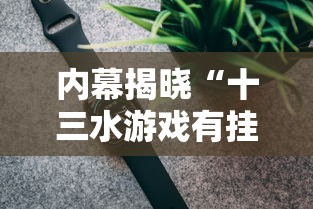 内幕揭晓“十三水游戏有挂吗”科技辅助神器手机