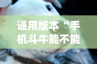 通用版本“手机斗牛能不能开挂”(详细透视教程)-知乎