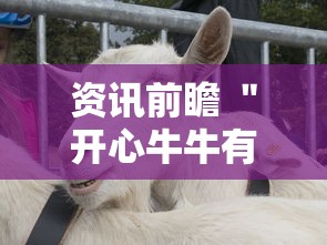 资讯前瞻 ＂开心牛牛有挂吗”真的有挂