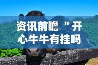 资讯前瞻 ＂开心牛牛有挂吗”真的有挂