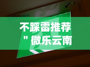不踩雷推荐 ＂微乐云南麻将微信小程序免费开挂”(太坑了果然有挂)