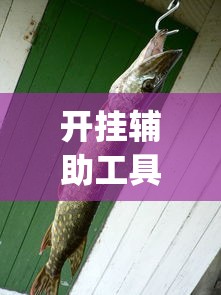 开挂辅助工具“有没有捕鱼上分神器”(透视挂)辅助透视教程