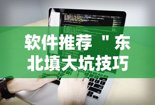 软件推荐 ＂东北填大坑技巧心得”事实上真的有挂