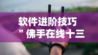 软件进阶技巧 ＂佛手在线十三道有挂吗”科技辅助神器手机版