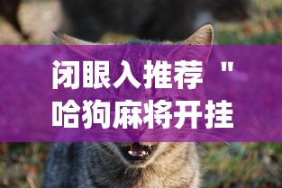 闭眼入推荐 ＂哈狗麻将开挂[玩家必赢神器]