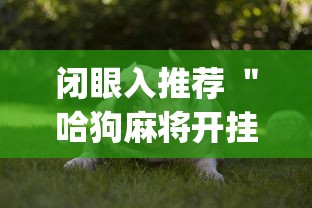 闭眼入推荐 ＂哈狗麻将开挂[玩家必赢神器]