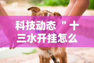 科技动态 ＂十三水开挂怎么买”开挂辅助脚本+详细开挂安装教程