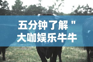 五分钟了解＂大咖娱乐牛牛有挂吗”原来有神器下载!