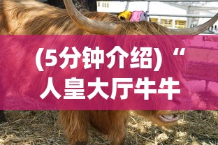 (5分钟介绍)“人皇大厅牛牛有挂吗？_游戏_玩家_工具