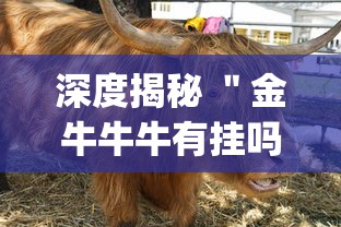 深度揭秘 ＂金牛牛牛有挂吗？_游戏_玩家_工具