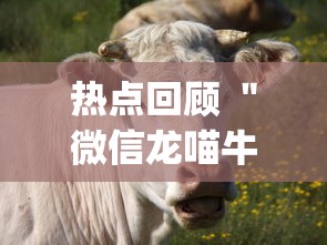 热点回顾 "微信龙喵牛牛有挂吗(确实真的有挂)-知乎 热点回顾 "微信龙喵牛牛有挂吗(确实真的有挂)-知乎