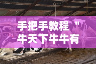 手把手教程 ＂牛天下牛牛有挂吗”揭秘透视辅助万能挂
