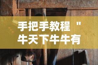 手把手教程 ＂牛天下牛牛有挂吗”揭秘透视辅助万能挂