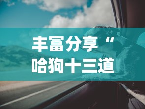 丰富分享“哈狗十三道有没有挂(详细真的有挂)-知乎 丰富分享“哈狗十三道有没有挂(详细真的有挂)-知乎