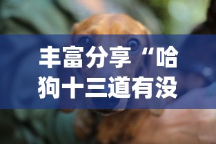 丰富分享“哈狗十三道有没有挂(详细真的有挂)-知乎