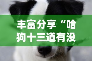 丰富分享“哈狗十三道有没有挂(详细真的有挂)-知乎 丰富分享“哈狗十三道有没有挂(详细真的有挂)-知乎
