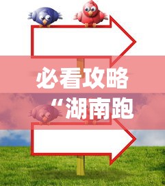 必看攻略“湖南跑得快技巧十句口诀”(透视)其实真的有挂
