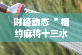 财经动态 ＂相约麻将十三水开挂	”(详细辅助脚本)