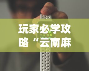 玩家必学攻略“云南麻将手机能开挂吗？_游戏_玩家_工具