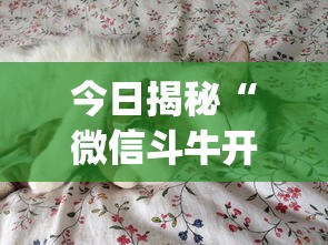 今日揭秘“微信斗牛开挂怎么买”(透视挂)详细用法教程