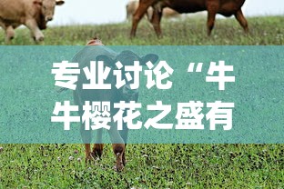 专业讨论“牛牛樱花之盛有挂吗”(其实是有挂)