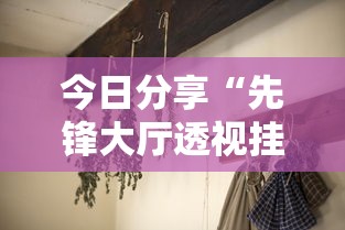 今日分享“先锋大厅透视挂如何开挂”附透视挂详细教程