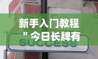 新手入门教程 ＂今日长牌有没有挂”(确实真的有挂)