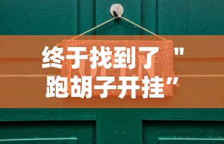 终于找到了 ＂跑胡子开挂”详细外挂安装步骤