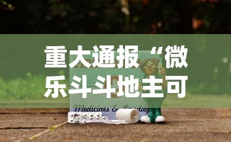 重大通报“微乐斗斗地主可以买挂吗	”原来有神器下载!