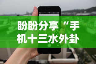 盼盼分享“手机十三水外卦透视辅助神器”可以开挂作弊