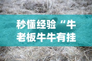 秒懂经验“牛老板牛牛有挂吗”(最新透视辅助上线)