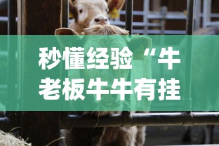 秒懂经验“牛老板牛牛有挂吗	”(最新透视辅助上线)