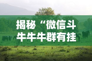 揭秘“微信斗牛牛牛群有挂吗”详细辅助软件教程