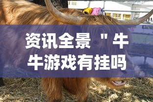 资讯全景 ＂牛牛游戏有挂吗(确实真的有挂)-知乎