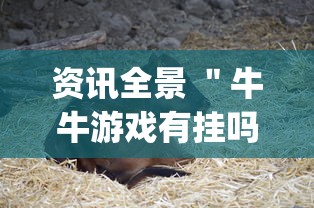 资讯全景 "牛牛游戏有挂吗(确实真的有挂)-知乎 资讯全景 "牛牛游戏有挂吗(确实真的有挂)-知乎