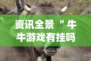 资讯全景 "牛牛游戏有挂吗(确实真的有挂)-知乎 资讯全景 "牛牛游戏有挂吗(确实真的有挂)-知乎
