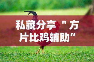 私藏分享 ＂方片比鸡辅助”真实开挂技巧分享