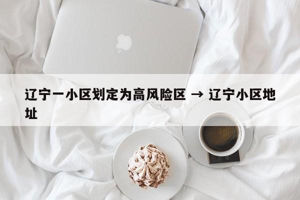 辽宁一小区划定为高风险区 → 辽宁小区地址