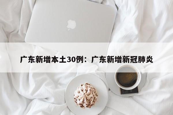 广东新增本土30例：广东新增新冠肺炎
