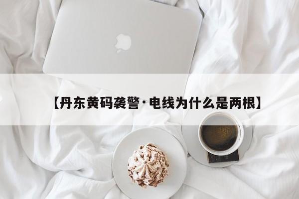 【丹东黄码袭警·电线为什么是两根】