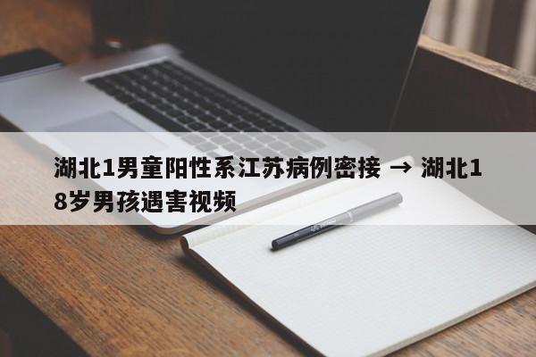 湖北1男童阳性系江苏病例密接 → 湖北18岁男孩遇害视频