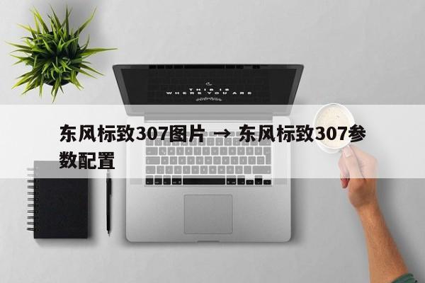 东风标致307图片 → 东风标致307参数配置