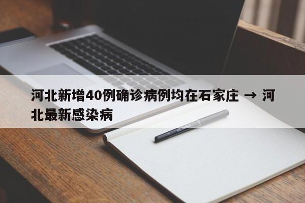 河北新增40例确诊病例均在石家庄 → 河北最新感染病