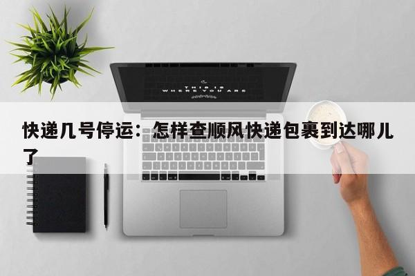 快递几号停运：怎样查顺风快递包裹到达哪儿了